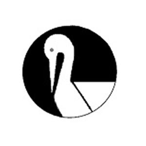 pelican_rapids_logo1.jpg