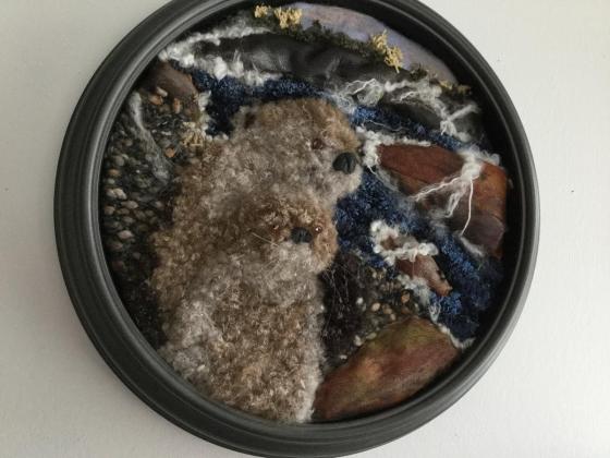 Playtime at Cameron Falls