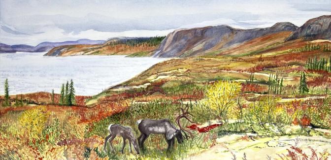 “Bathurst Caribou Family” water colour on stretchers 12" X 18" 