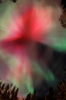 Pink Butterfly in the Sky