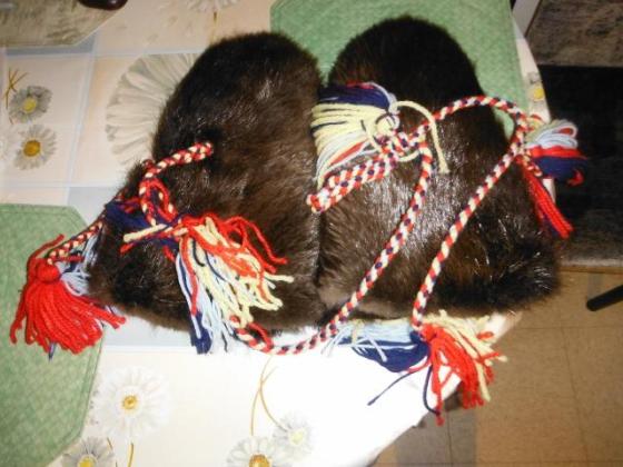 Beaver Mitts