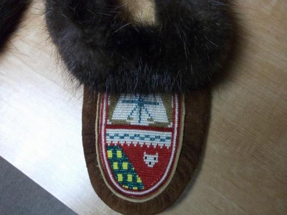 Dene Slipper.jpg