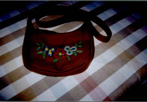 Alice purse 1 