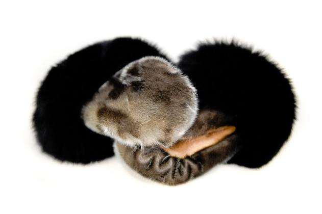 Sealskin mitts