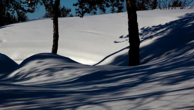 Wintershadows