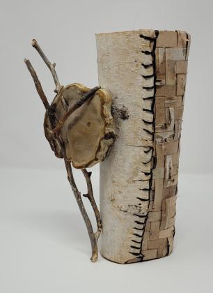 Birch Bark Conk