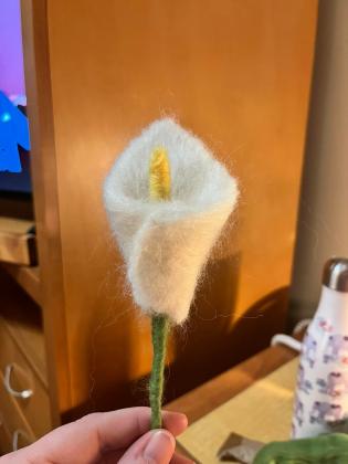 Calla Lily