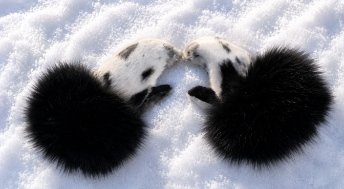 Inspired by the lands of the North—where breathtaking beauty meets rugged resilience—these sealskin mitts are a reflection of winter's enduring spirit. The natural markings of the sealskin echo the uniqueness of the northern landscape, while the black rabbit fur frames the piece with warmth and elegance. Through traditional materials and contemporary artistry, this work honours a land that is both gentle and unforgiving, where beauty is not found despite the harshness of winter, but because of it.