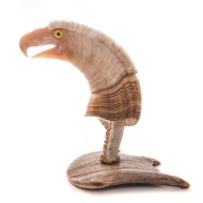 Screaming Eagle - Dall Sheep horn with inlaid abalone eyes on deer and moose antler base 