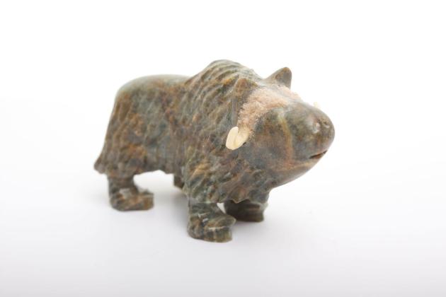 Muskox