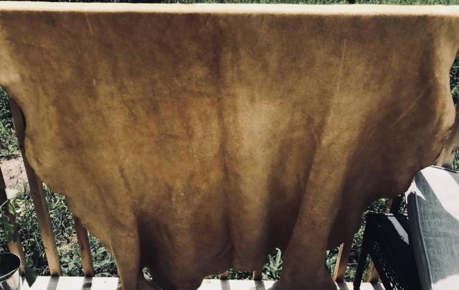 Traditional home tanned moosehide made by me