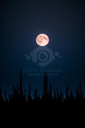 Full Moon