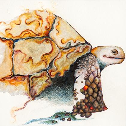 Watercolour Illustration