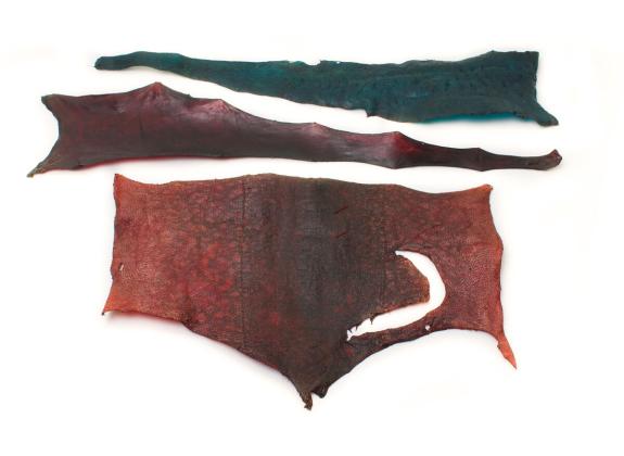Fish leather