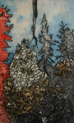 lichenwoods (work title) 5 x 9 inches