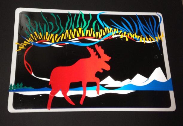 Moose Aurora