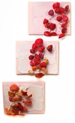 Fungi: Masters of Survival