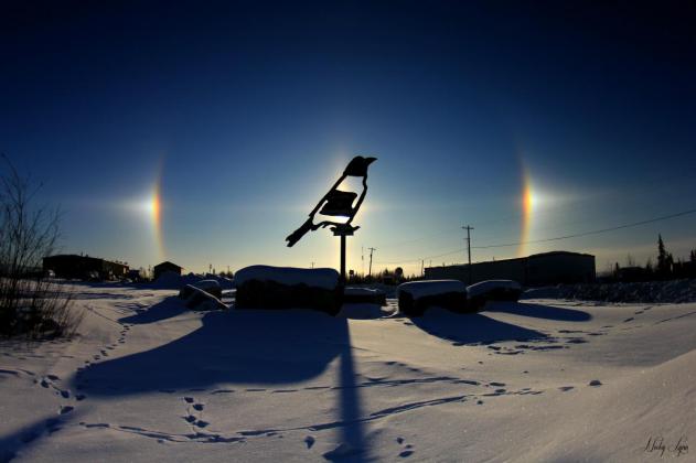 Raven Beside the Sun