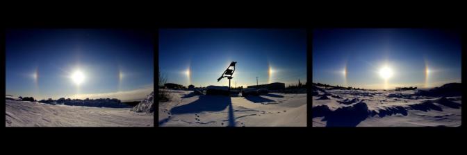 Raven Beside the Sun Collage