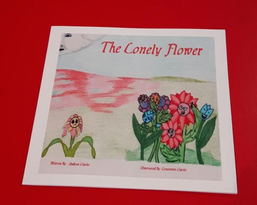 Illustration - The Lonely Flower 