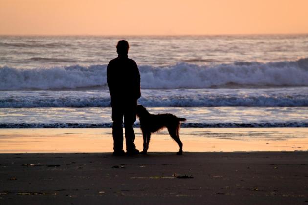 Man's Best Friend