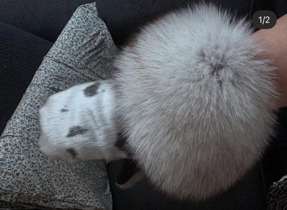 Mitts