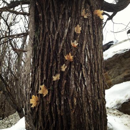 Wind's Whisper (2013) Land Art 