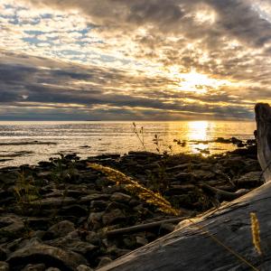 Featured Image for Deanna O’Reilly