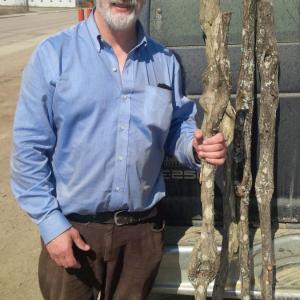 Featured Image for Sean Whelly