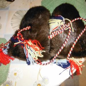 Beaver Mitts